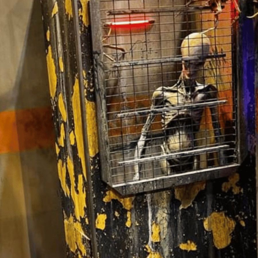 An alien specimen prop inside the Alien Escape room